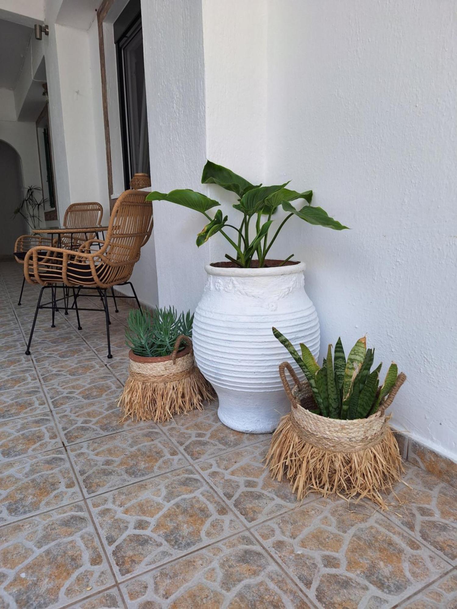 Vithos Apartment Agnontas Exterior photo
